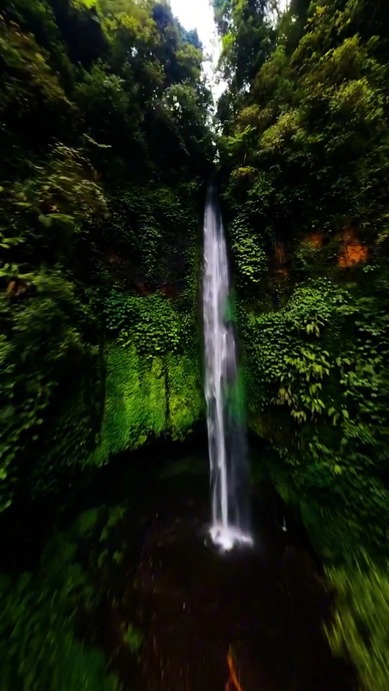 Flying over mysterious primeval rainforests